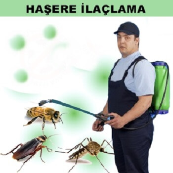 Altunhisar Böcek İlaçlama